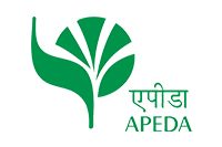 Apeda Apeda